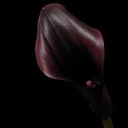 Profile Picture of Jenell Alexander-Moctezuma (@jafuqua4) on Twitter