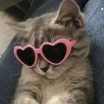 Profile Picture of CATHERINE (@catherine_delisle_) on Instagram