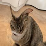 Profile Picture of dustin.morlang (@dustin.morlang) on Instagram