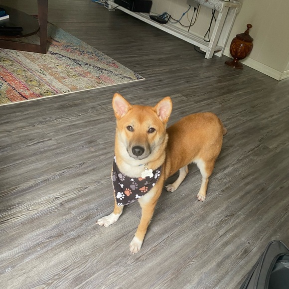 Profile Picture of Max Huberman (@max_huberman) on Poshmark