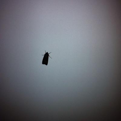 Profile Picture of Brian Thomson (@tichy_39) on Twitter