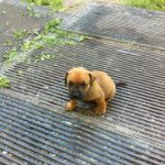 Profile Picture of Travis Waldner (@12trav28) on Instagram