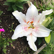 Profile Picture of Edith Mendoza (@edithmendoza2283) on Youtube