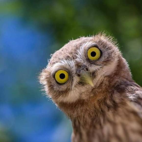 Profile Picture of Renee Baxter (@renee2000walker) on Poshmark