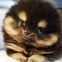 Profile Picture of Hailey Stephens (@hailey-stephens-10) on Quora