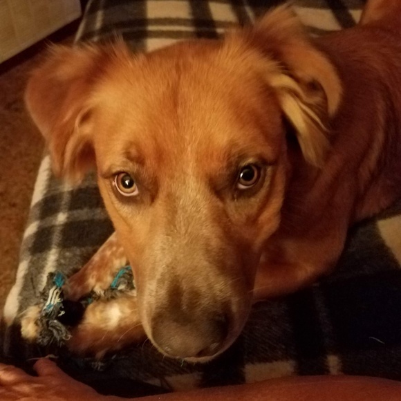 Profile Picture of Cindy Mailman (@jomomma1211) on Poshmark