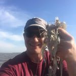 Profile Picture of David Palecek (@palecekde) on Instagram