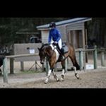 Profile Picture of Lucy Shanahan (@dinkyshanahan) on Instagram