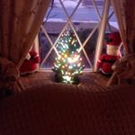 Nancy salvatore - Instagram Profile Picture of Nancy salvatore (@nancysalvatore3) on Instagram