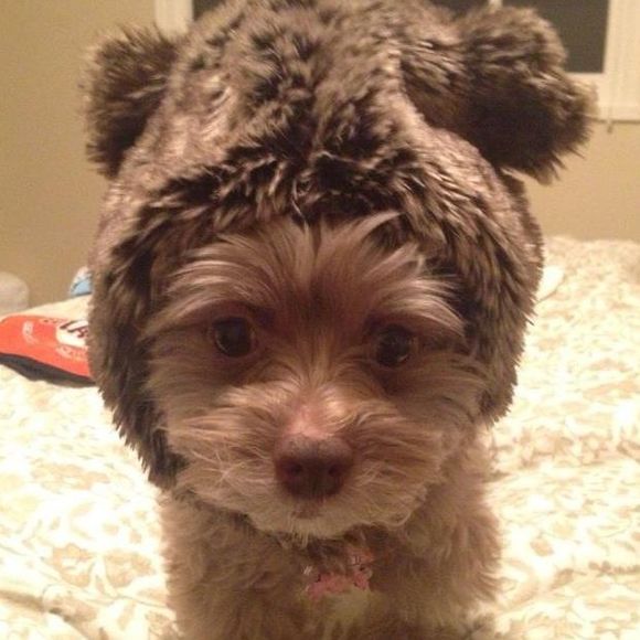 Profile Picture of Jordan Whitfield (@jordanwhit) on Poshmark