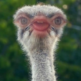 Profile Picture of Hilary Engel (@hilary.engel.7) on Facebook
