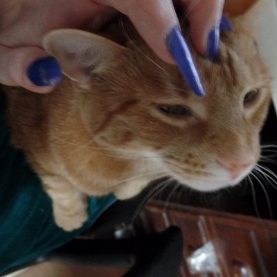 Profile Picture of Crowjane29 (@crowjane29) on Twitter