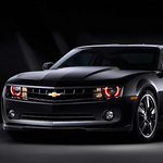 Profile Picture of Big Brother Bear (@Big Brother Bear) on Flickr