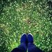 Profile Picture of Gimhani Wanigatunga (@gimhaniwanigatu) on Pinterest