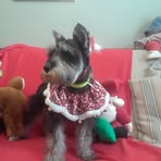 Profile Picture of Steven Bookout (@steven.j.bookout) on Facebook