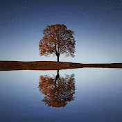 Profile Picture of Paul Petty (@paulpetty9953) on Youtube