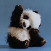 Profile Picture of Howard Hong (@howard-hong-3) on Quora