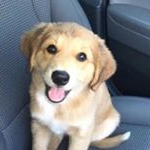 Richard Bunger - Instagram Profile Picture of Richard Bunger (@bungerrichard) on Instagram