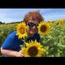 Profile Picture of Nancy Peterman Kearney (@nancy.kearney.71) on Facebook