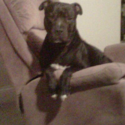 Profile Picture of Thomas Buenrostro (@tumjova) on Twitter