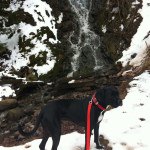 Profile Picture of chad_neil (@chad_neil) on Instagram