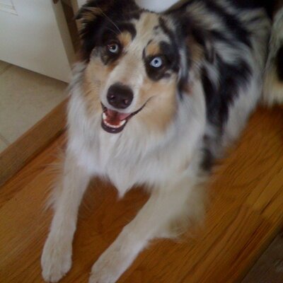 Profile Picture of Nick Nardolillo (@wineguy21) on Twitter