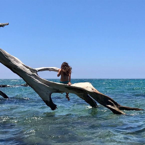 Profile Picture of Kat Soong (@katsoong) on Poshmark