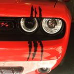 Profile Picture of Cory Adler (@red_5_shaker) on Instagram