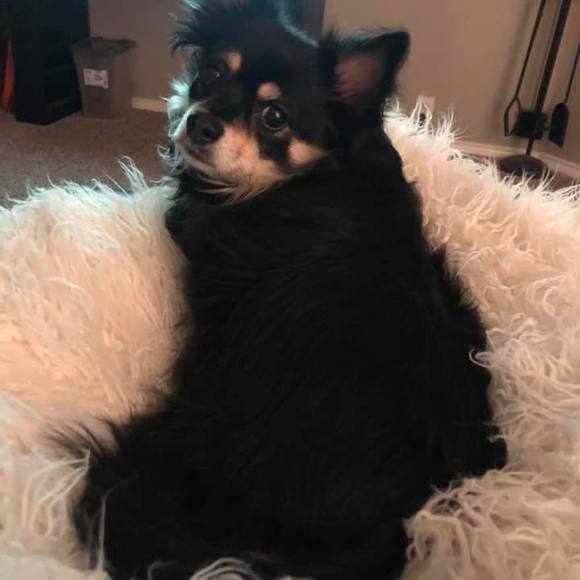 Profile Picture of Candi Garrett (@joancandi) on Poshmark