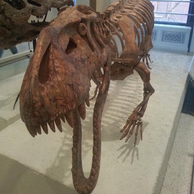 Profile Picture of Dan Moberg (@Modan88) on Twitter