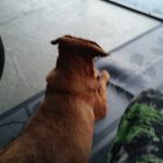 Profile Picture of Larry Conover (@conover.larry) on Instagram