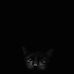 Profile Picture of James Artana (@james.artana.9) on Facebook
