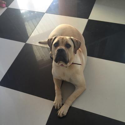 Profile Picture of Andre Adams (@andreadams28) on Twitter