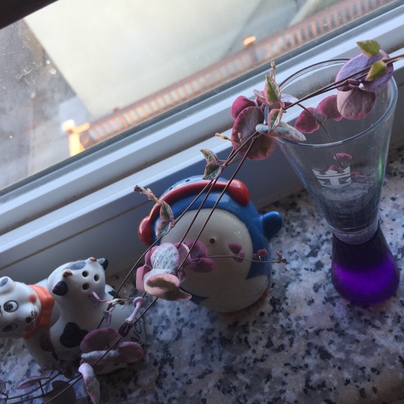 Profile Picture of Jean Tang (@jeantangerine) on Poshmark