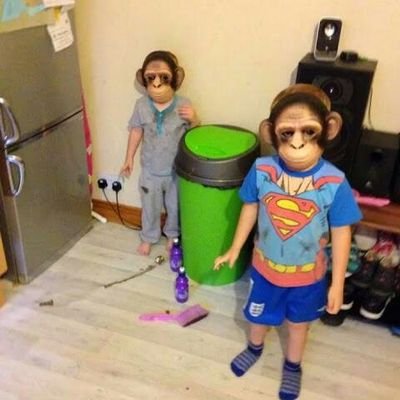Profile Picture of Stuart Gibbons (@GibbonsStuart) on Twitter