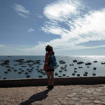 Profile Picture of NGAN DO (@NGANDO42965399) on Twitter