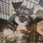 Profile Picture of Catherine Moye (@catherinemoye) on Instagram