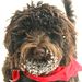 Profile Picture of Mary Kay Davignon (@davignon) on Pinterest
