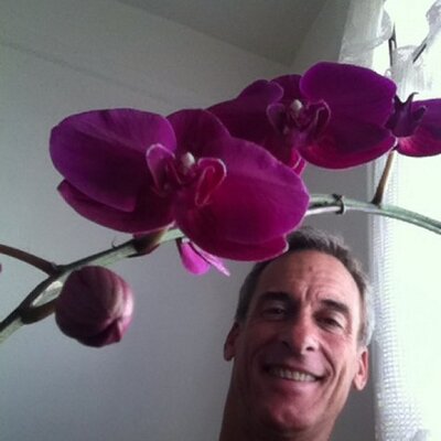 Profile Picture of David Siracusa (@siracusa_david) on Twitter