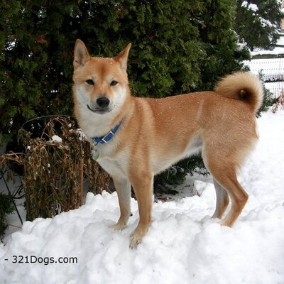 Profile Picture of Shealyn Renae Bryant (@Piggygirl2125) on Twitter