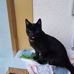 Profile Picture of Paul Köster (@paul.koster.581) on Instagram