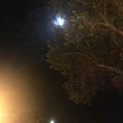 Profile Picture of Lily An Elijah (@lilyanelijah2260) on Youtube