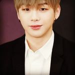 Profile Picture of shadi shadat zadeh (@shadishadat) on Instagram