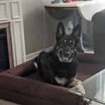 Profile Picture of Dan Rosengrant (@Furieus) on Facebook