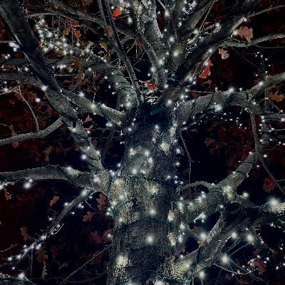 Profile Picture of Not Your Name (@Joshua__burg) on Twitter