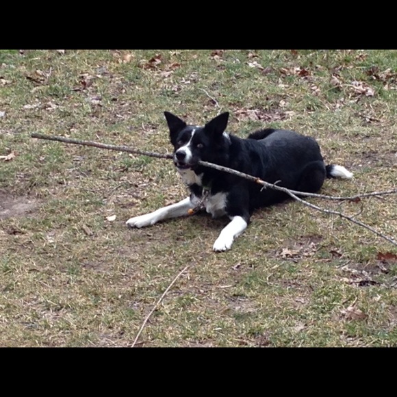 Profile Picture of Matthew Germer (@mgermer0516) on Poshmark