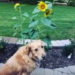 Profile Picture of Ellison Clark (@elli.clark06) on Instagram