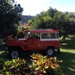 Profile Picture of Nestor Ibańez (@neyeiper) on Instagram