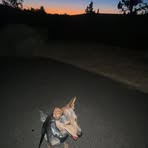 Profile Picture of Michael Goossens (@michael.goossens.1029) on Facebook