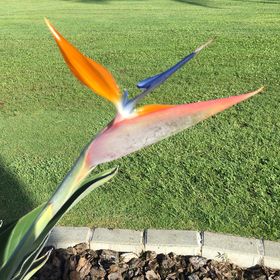 Profile Picture of Gina (@samet8010) on Pinterest